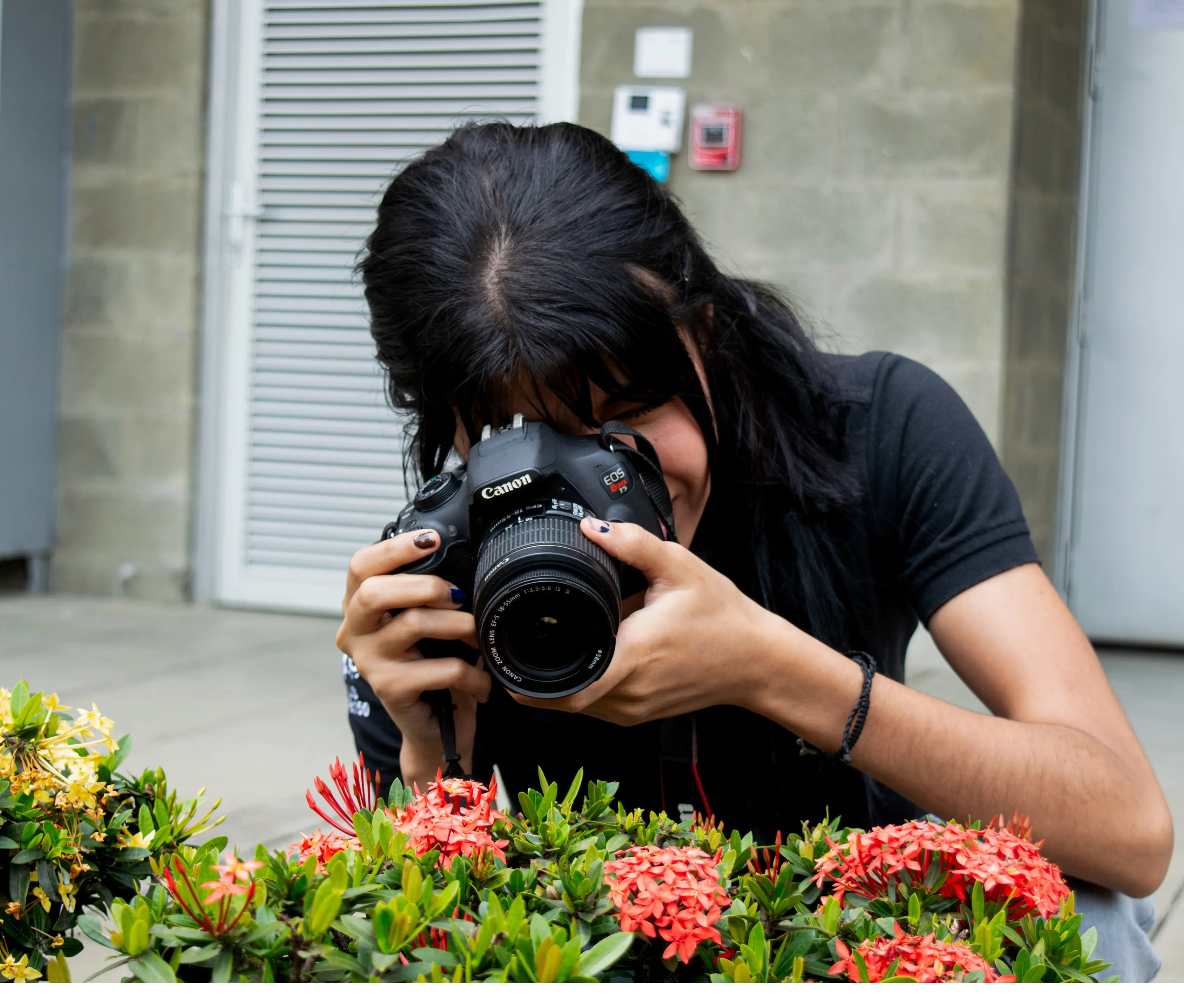 Fotografía y Procesos Digitales
